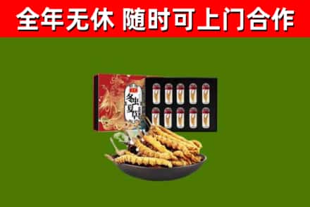 大箐山回收冬虫夏草价格
